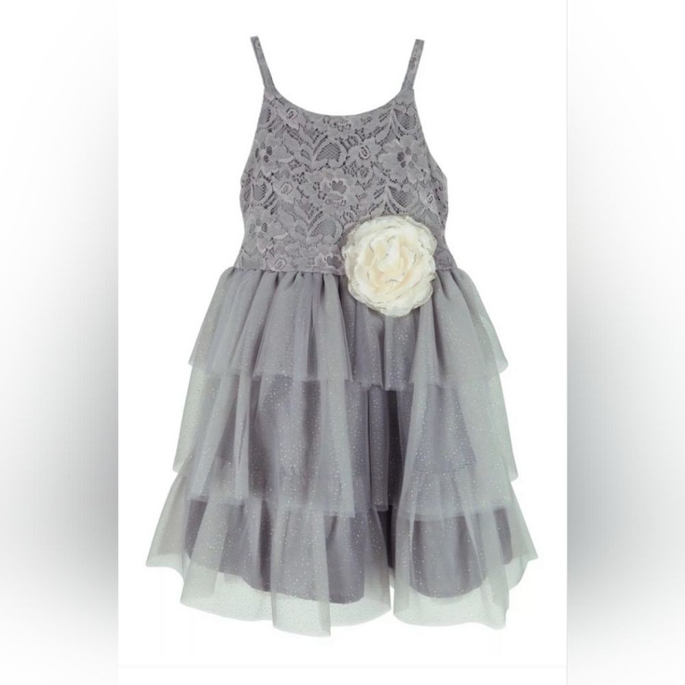 Nwt PINK & VIOLET Toddler Girls Sleeveless Lace Glitter Mesh Dress